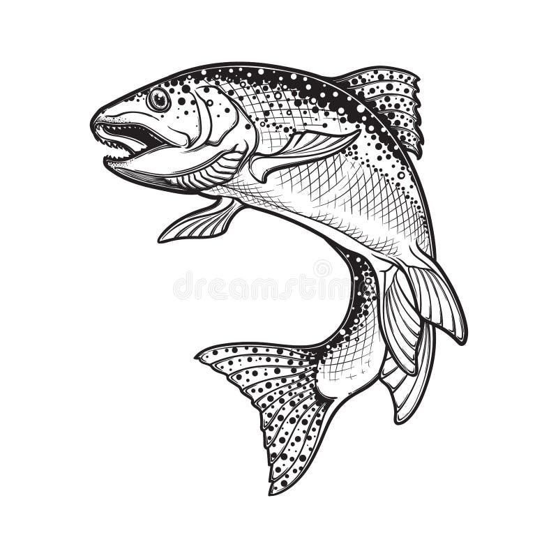 Bosquejo blanco y negro de la trucha arco iris ilustración del vector