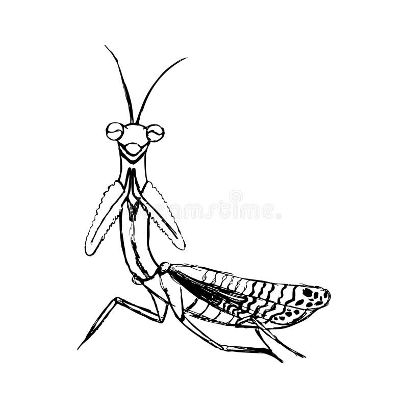 Bosquejo de un predicador en líneas negras libre illustration Bosquejo de un predicador en líneas negras libre illustration