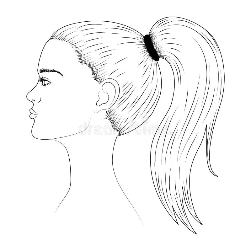 Bosquejo De Una Cara De La Mujer Joven En Perfil Ilustración del Vector - Ilustración de perfil, peinado: 154188990 Bosquejo De Una Cara De La Mujer Joven En Perfil Ilustración del Vector - Ilustración de perfil, peinado: 154188990