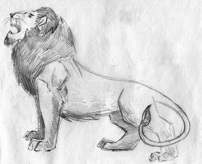 Bosquejo Del Lápiz Del León Del Rugido Stock de ilustración - Ilustración  de gato, bosquejado: 51566597