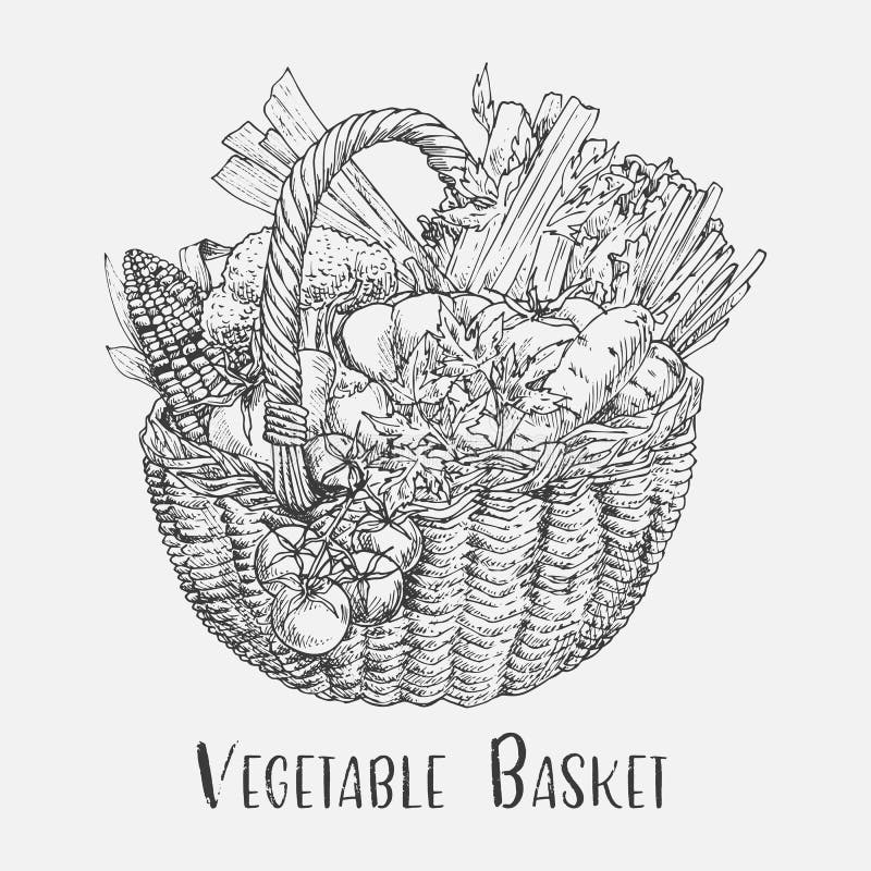 Bosquejo del tomate y del maíz, bróculi en cesta stock de ilustración Bosquejo del tomate y del maíz, bróculi en cesta stock de ilustración