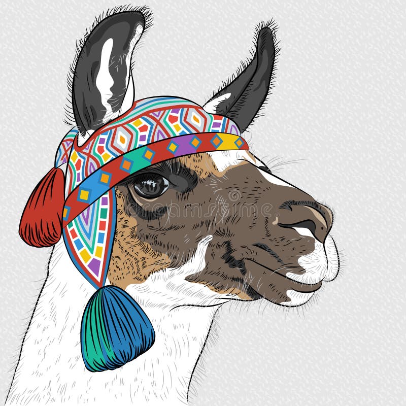 Bosquejo del vector de la alpaca stock de ilustración Bosquejo del vector de la alpaca stock de ilustración