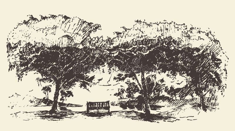 Bosquejo dibujado banco romántico hermoso del vector del árbol ilustración del vector Bosquejo dibujado banco romántico hermoso del vector del árbol ilustración del vector