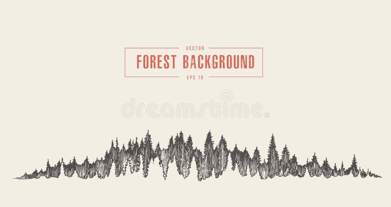 Bosquejo dibujado vector del fondo del bosque del pino stock de ilustración Bosquejo dibujado vector del fondo del bosque del pino stock de ilustración