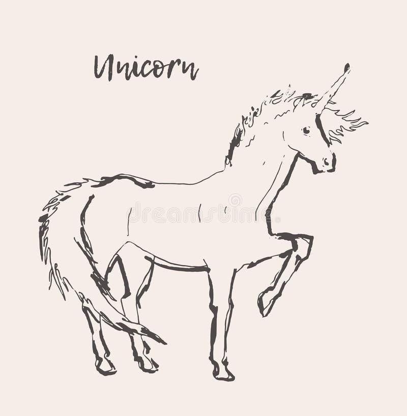 Bosquejo hermoso del ejemplo del vector del viento del unicornio. Unicornio hermoso con las alas, ejemplo dibujado mano del vector, bosquejo