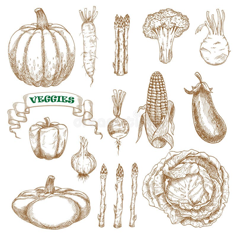 Bosquejos de las verduras del jardín y de la granja fijados libre illustration Bosquejos de las verduras del jardín y de la granja fijados libre illustration
