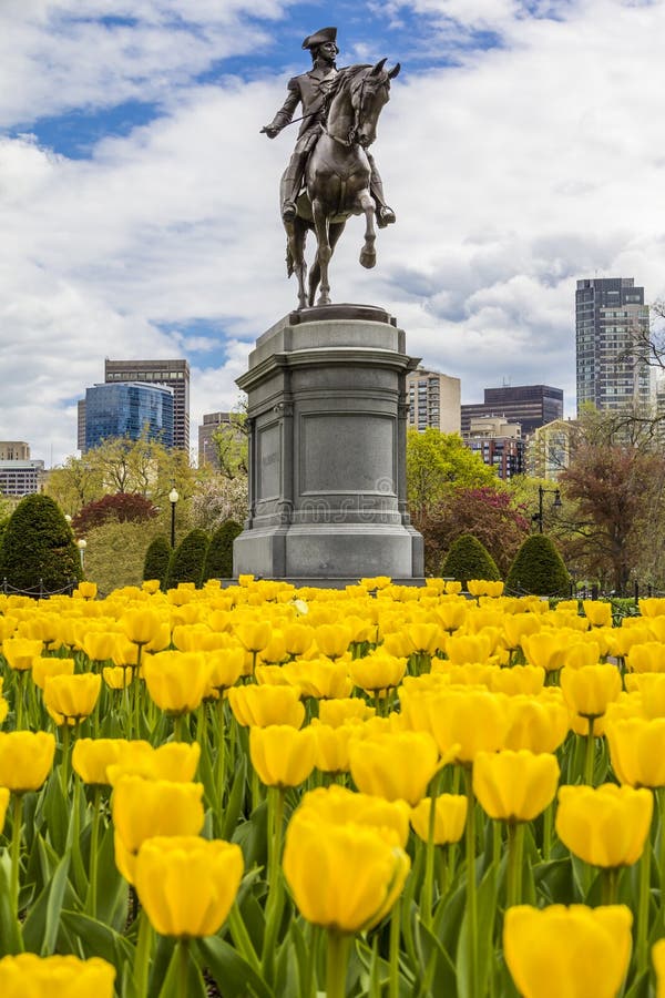 Boston Stock Photo. Image Of Skyscraper, Building, Wharf - 76047646