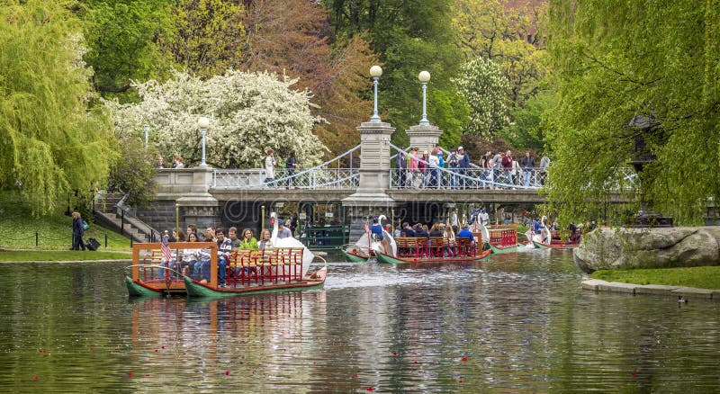 Boston Public Garden stock photography