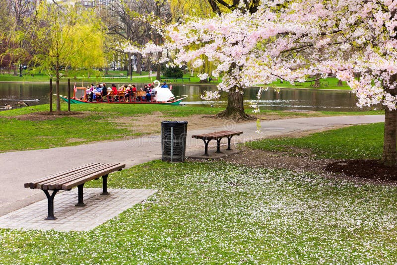Boston Public Garden in the Spring stock photos