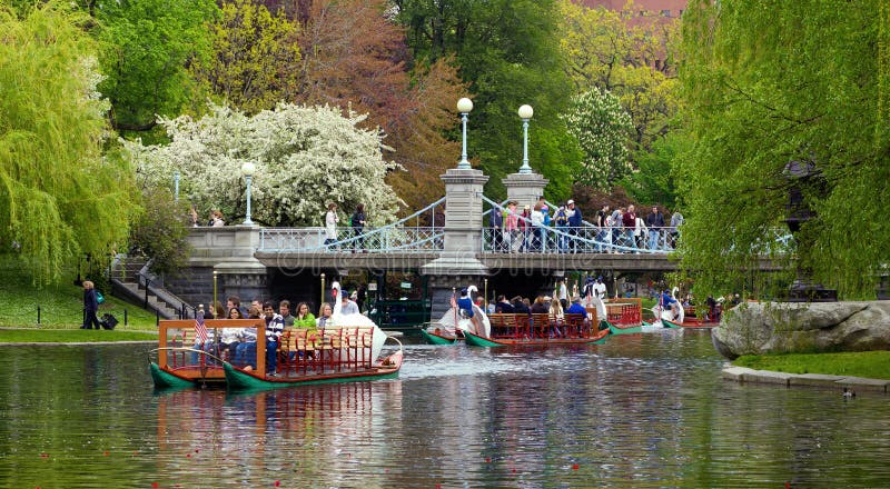 Boston Public Garden in the Spring royalty free stock image