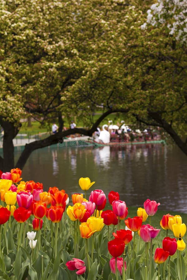 Boston Public Garden in the Spring