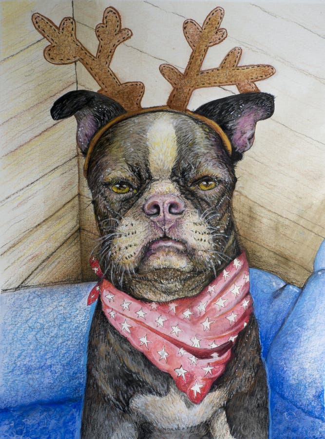 Boston Terrier con las astas del reno stock de ilustración Boston Terrier con las astas del reno stock de ilustración