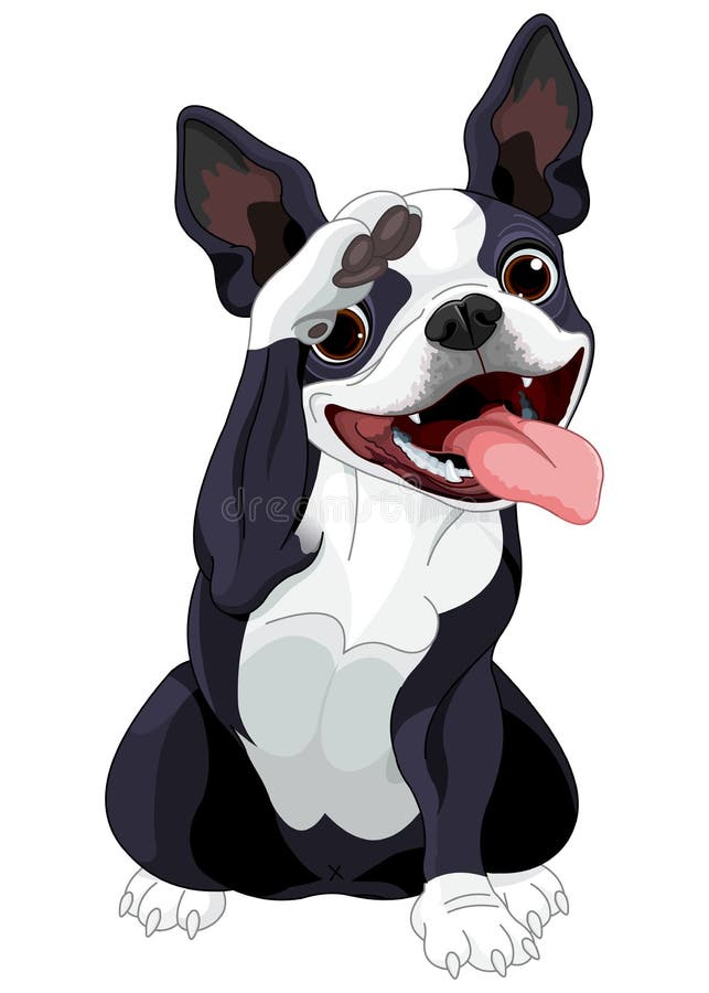 Boston Terrier Salute stock vector. Illustration of label - 62692961 Boston Terrier Salute stock vector. Illustration of label - 62692961