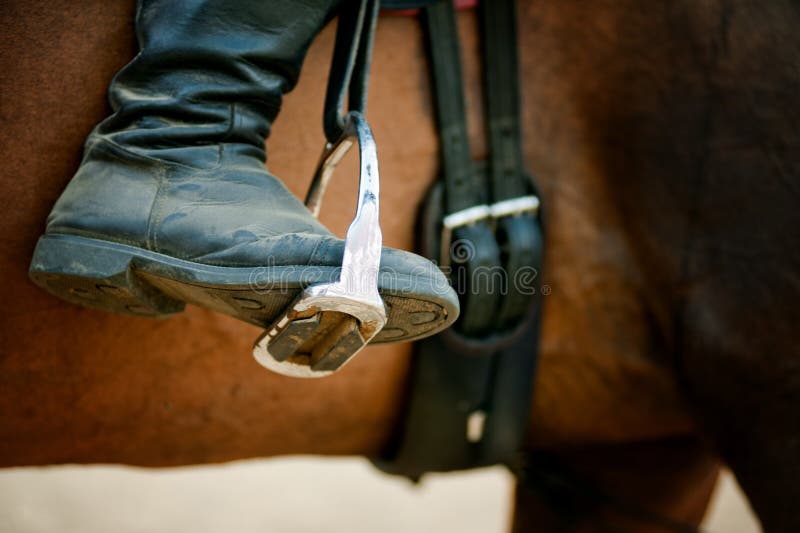 Bota primer estribo de archivo. Imagen animal - 49886559