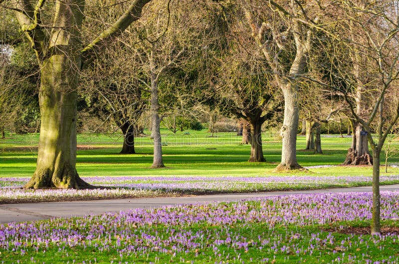 Botanic garden with flowers in sunllight