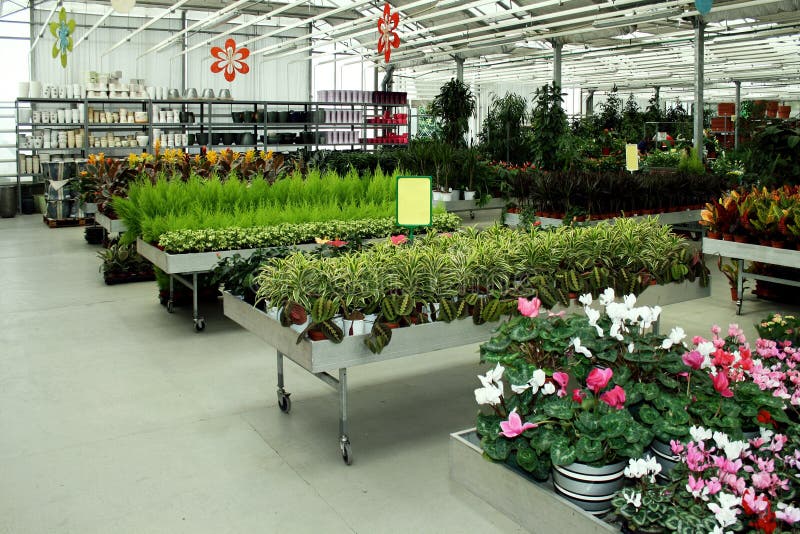 Botanic shop stock photo. Image of garden, beauty, petals 6611528