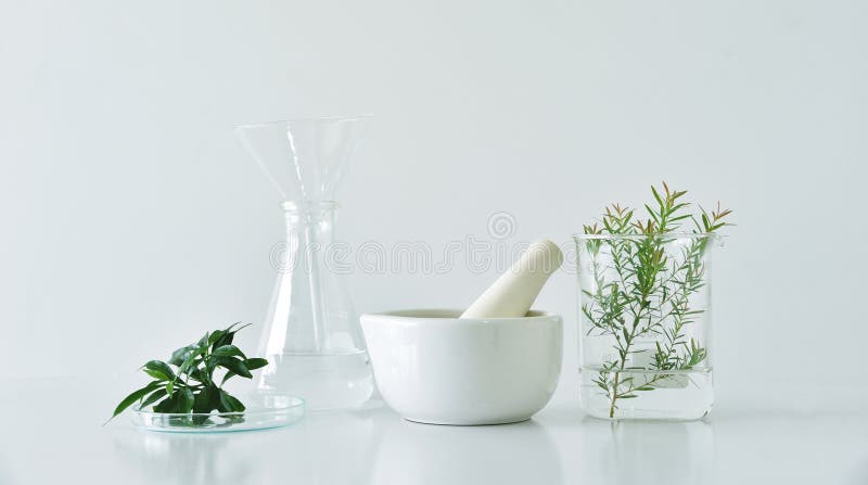 Natural organic botany and scientific glassware, Alternative herb medicine, Natural skin care beauty products, Research and development concept. Natural organic botany and scientific glassware, Alternative herb medicine, Natural skin care beauty products, Research and development concept.