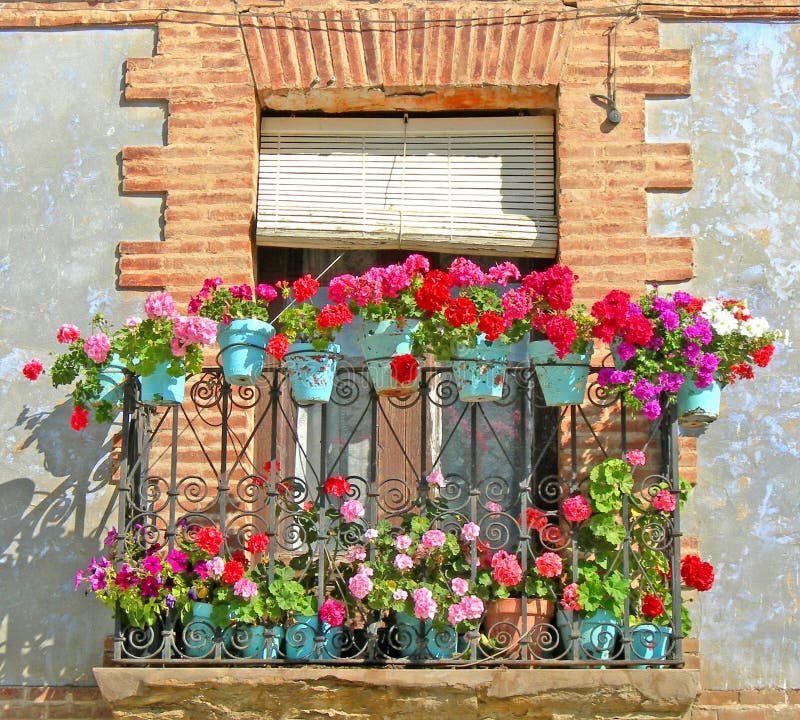 Botanical Balcony