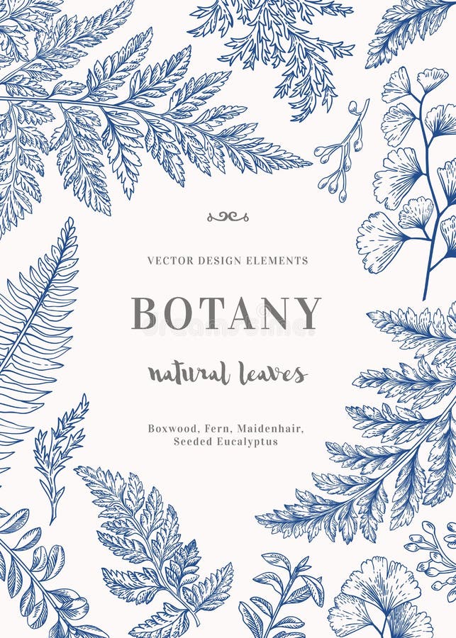 Botanical card for with leaves.