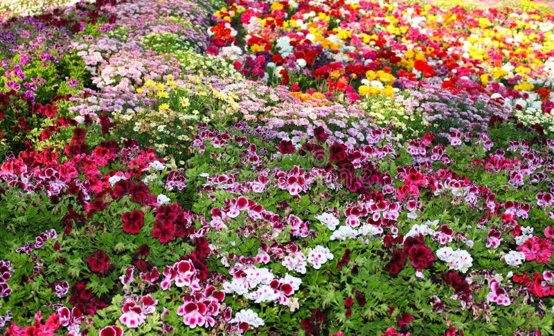 Botanical garden stock images