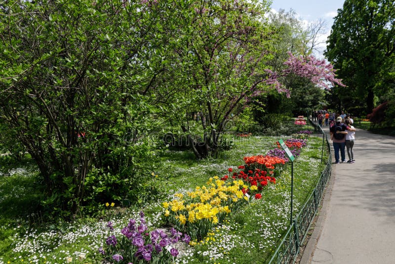Botanical garden of Bucharest on a sunny spring day stock photos