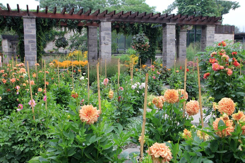 Botanical Garden stock image. Image of botanical, flower 229193899