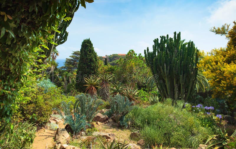 Botanical garden on Mediterranean coast of Spain , Blanes.