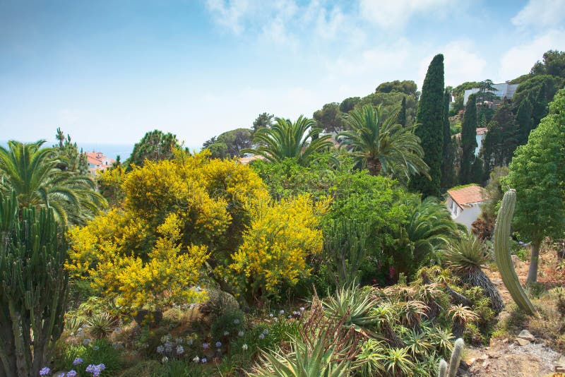 Botanical garden on Mediterranean coast of Spain , Blanes.