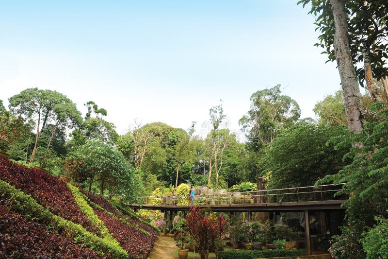 Malacca Botanical Garden royalty free stock photography Malacca Botanical Garden royalty free stock photography