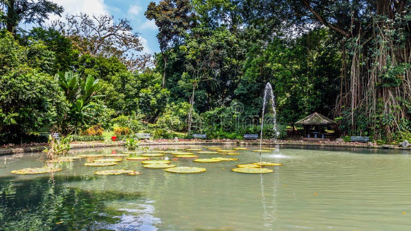  Botanical  Gardens  Bogor  West Java Indonesia  Stock Photo 