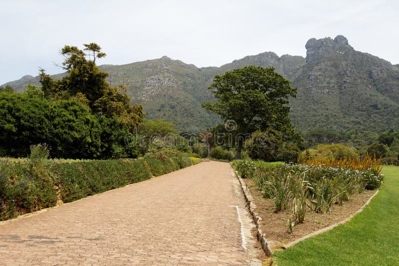 Botanical Gardens Cape Town Stock Photo Image of table, holiday 14327544