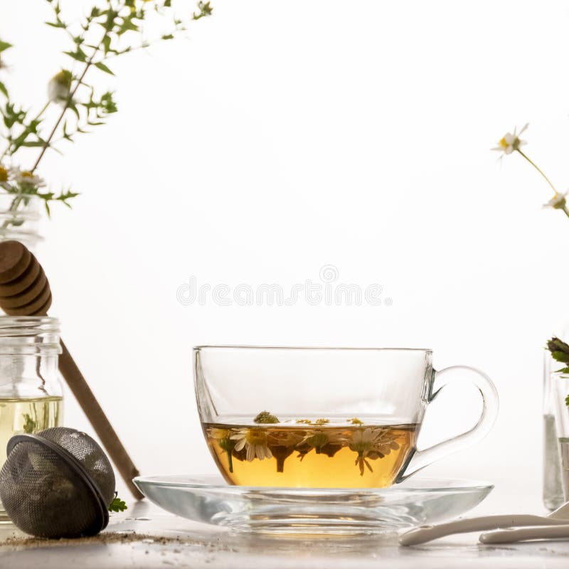 Botanical Herbal Tea, Healthy Beverage, Organic Ingredients Stock Image