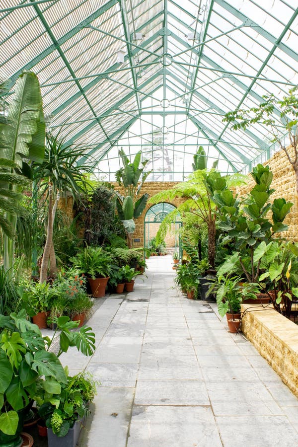 Botanical Indoor Greenhouse with Plants and Flowers Editorial Stock ...