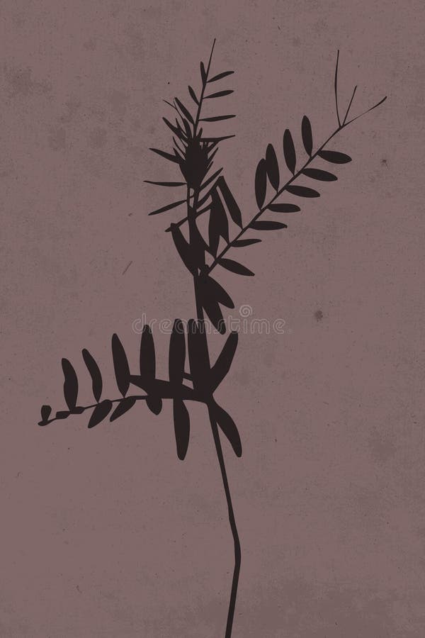 Botanical Posters. Contemporary Art Poster Stock Illustration ...