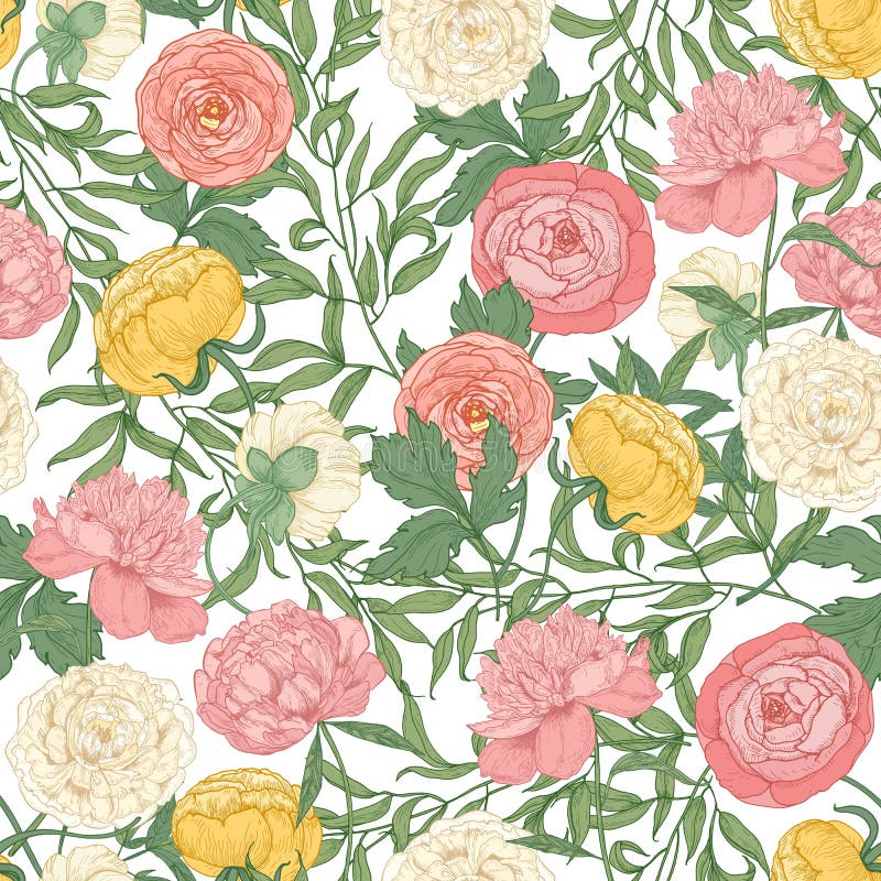 Botaniczny bezszwowy wzór z wspaniałymi kwitnącymi tulipanami, peoniami i ranunculus, kwitnie na białym tle kwiecisty royalty ilustracja Botaniczny bezszwowy wzór z wspaniałymi kwitnącymi tulipanami, peoniami i ranunculus, kwitnie na białym tle kwiecisty royalty ilustracja