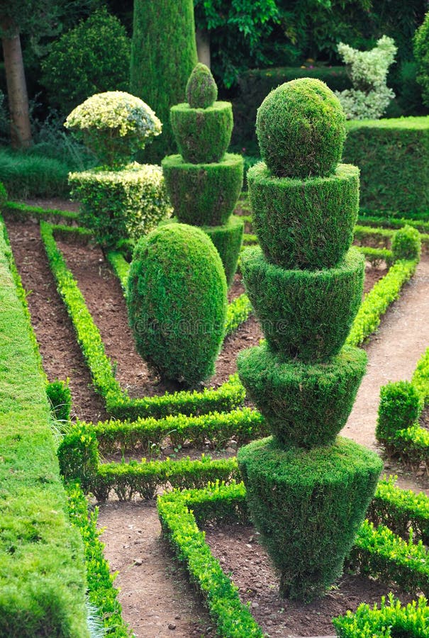botaniczny dekoracyjny ogródu zieleni park obrazy royalty free botaniczny dekoracyjny ogródu zieleni park obrazy royalty free