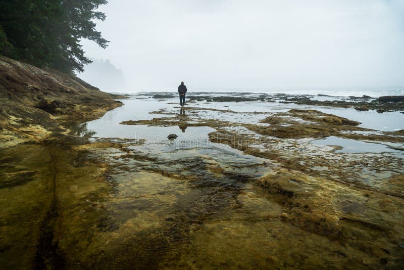 Botanisch Strand, Juan de Fuca Trail, Haven Renfrew, BC, Vancouver royalty-vrije stock foto Botanisch Strand, Juan de Fuca Trail, Haven Renfrew, BC, Vancouver royalty-vrije stock foto