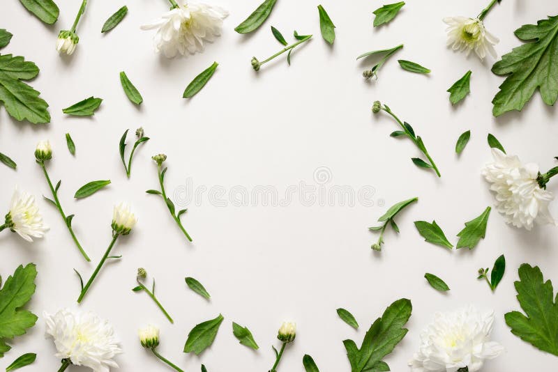 Botanische bloemenachtergrond stock afbeeldingen Botanische bloemenachtergrond stock afbeeldingen
