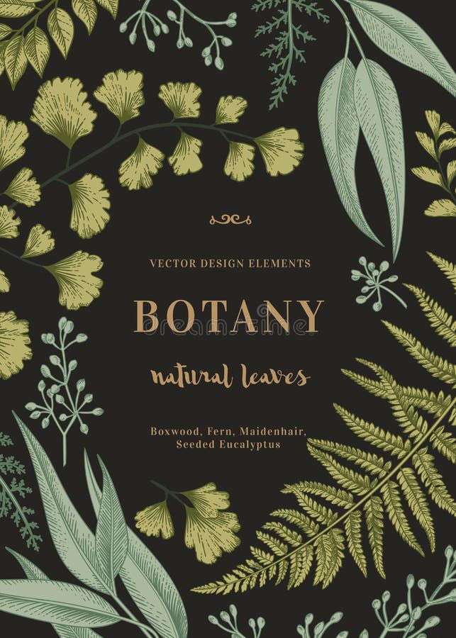 Botanische Illustration mit Blättern vektor abbildung