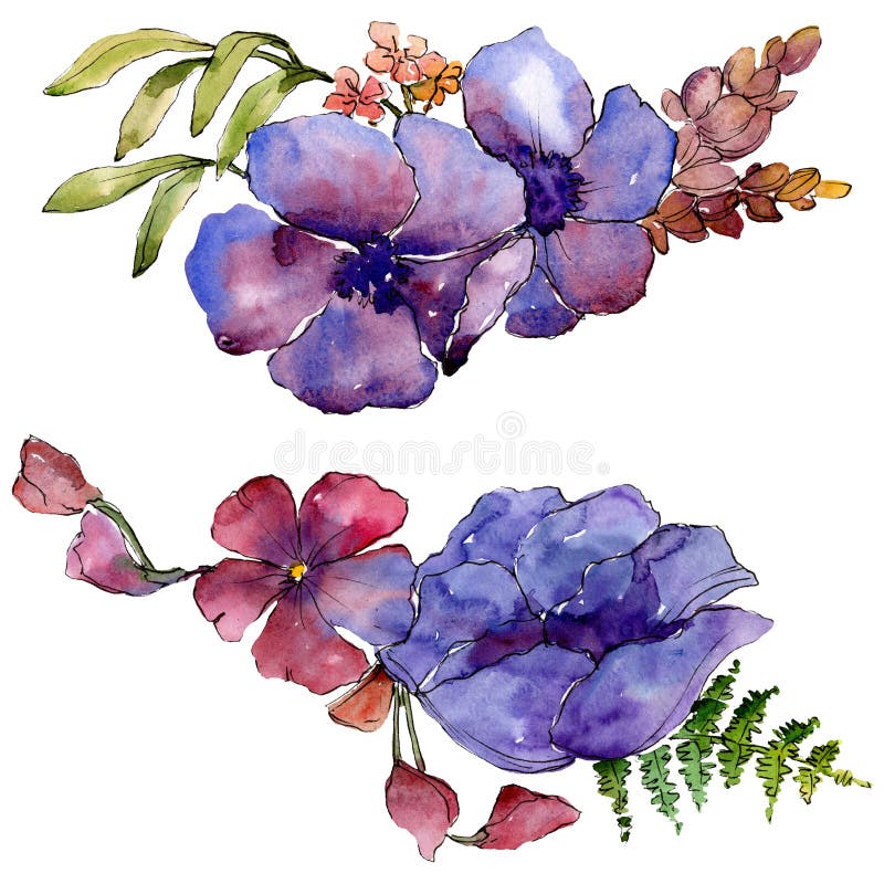 Botanische mit Blumenblumen des blauen purpurroten Blumenstraußes Unterseite für Auslegung Lokalisiertes Blumenstraußillustration stock abbildung Botanische mit Blumenblumen des blauen purpurroten Blumenstraußes Unterseite für Auslegung Lokalisiertes Blumenstraußillustration stock abbildung