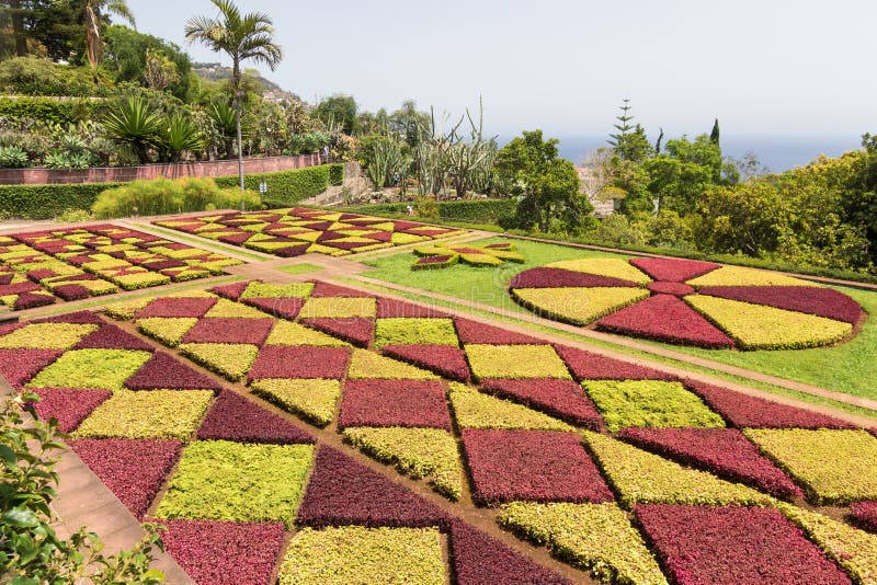 Botanische tuin het eiland van van Funchal, Madera stock afbeelding Botanische tuin het eiland van van Funchal, Madera stock afbeelding
