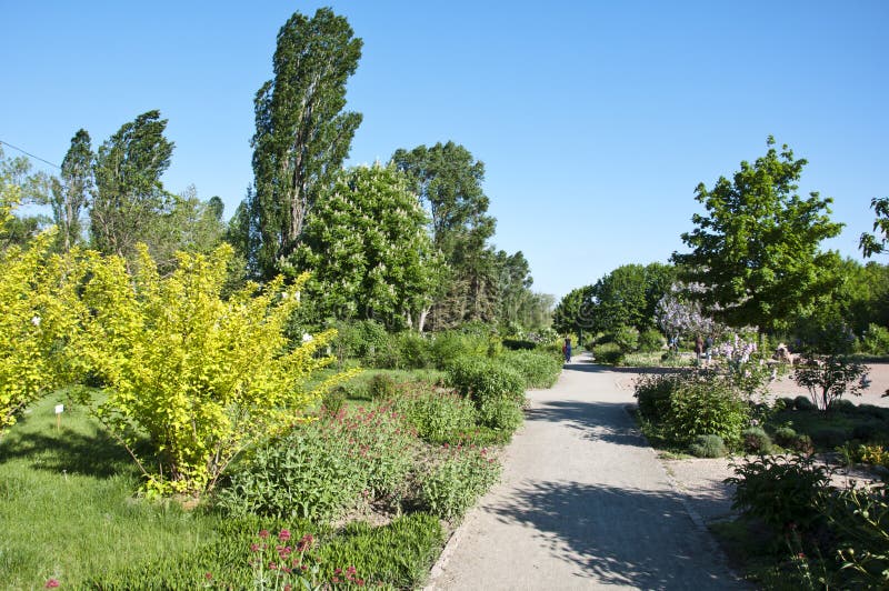 Botanischer Garten stockfoto Botanischer Garten stockfoto