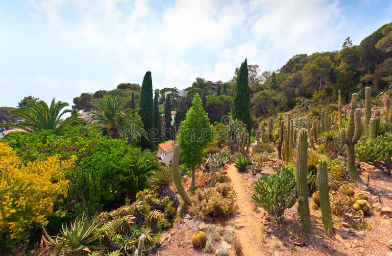 Botanischer Garten Auf Mittelmeerküste Von Spanien, Blanes Stockbild