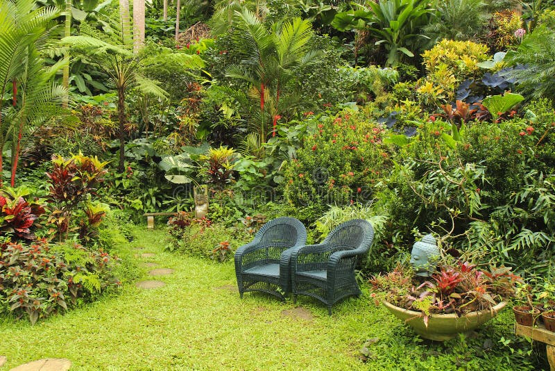 Botanischer Garten in Barbados, Karibisch Stockfoto Bild von paradies