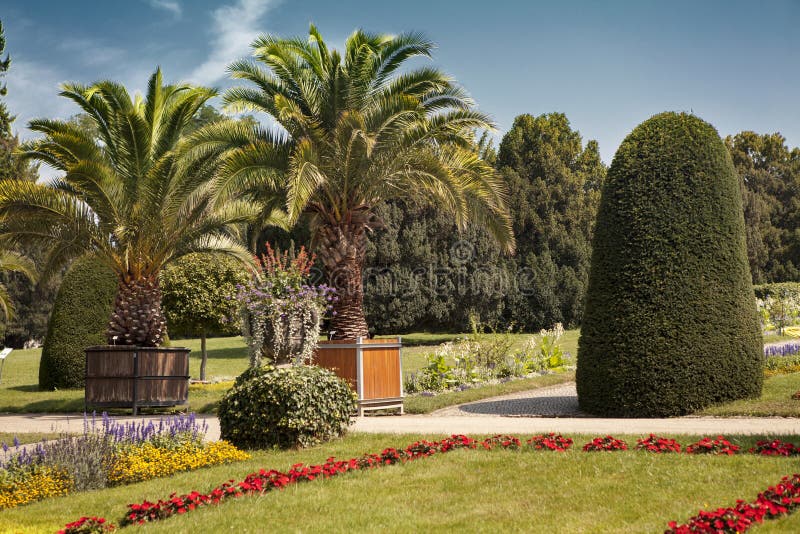Botanischer Garten In Sanssouci Park, Potsdam Stockbild