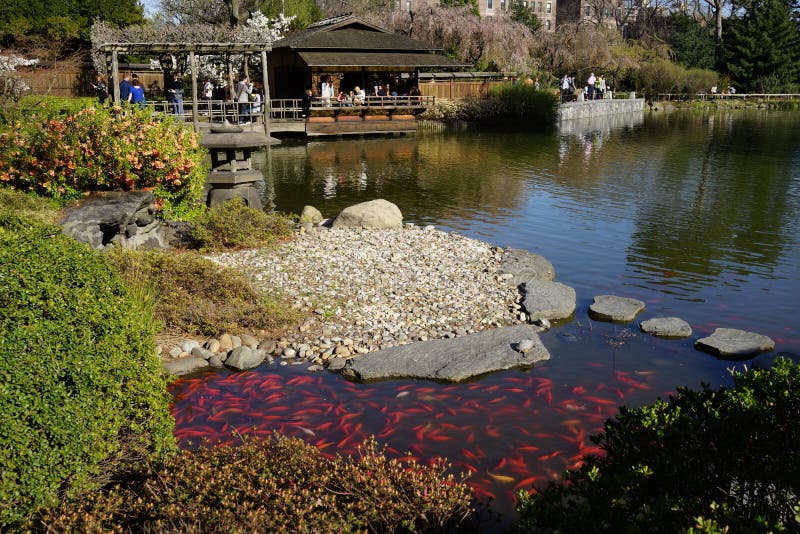 Palmenhaus in Botanischem Garten Brooklyns Redaktionelles Stockbild