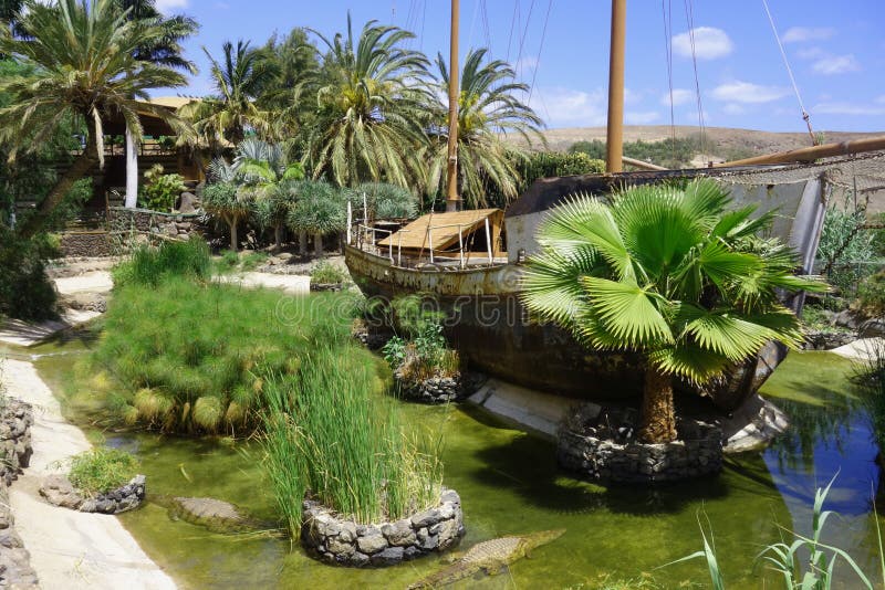 Botanischer Garten In FuerteventuraInsel Stockbild Bild