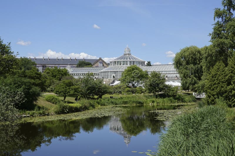 Botanischer Garten, Kopenhagen Stockfoto Bild von tourismus, reise