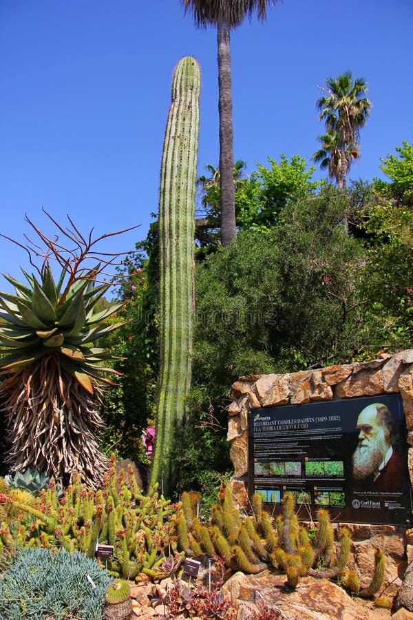 Botanischer Garten Marimurtra In Blanes, Katalonien Stockfoto Bild