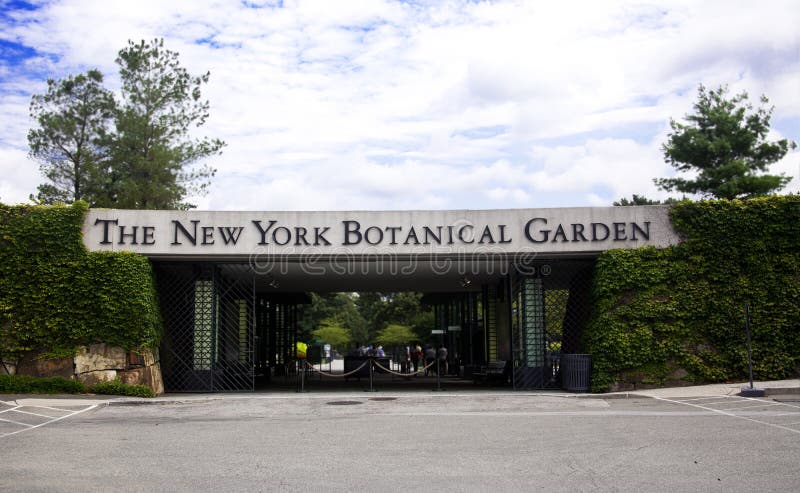 New Yorkgarten, Central Park Redaktionelles Stockfotografie Bild von